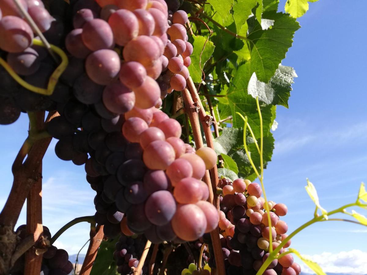 Ansitz Grustdorf Apartamento Appiano Sulla Strada Del Vino Exterior foto