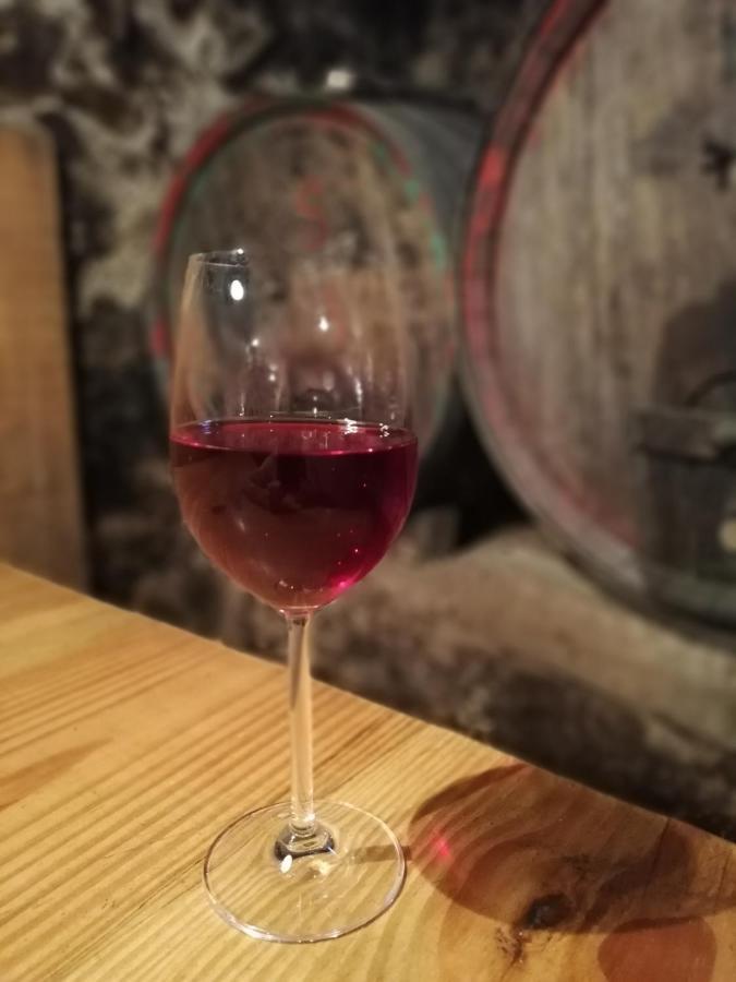 Ansitz Grustdorf Apartamento Appiano Sulla Strada Del Vino Exterior foto