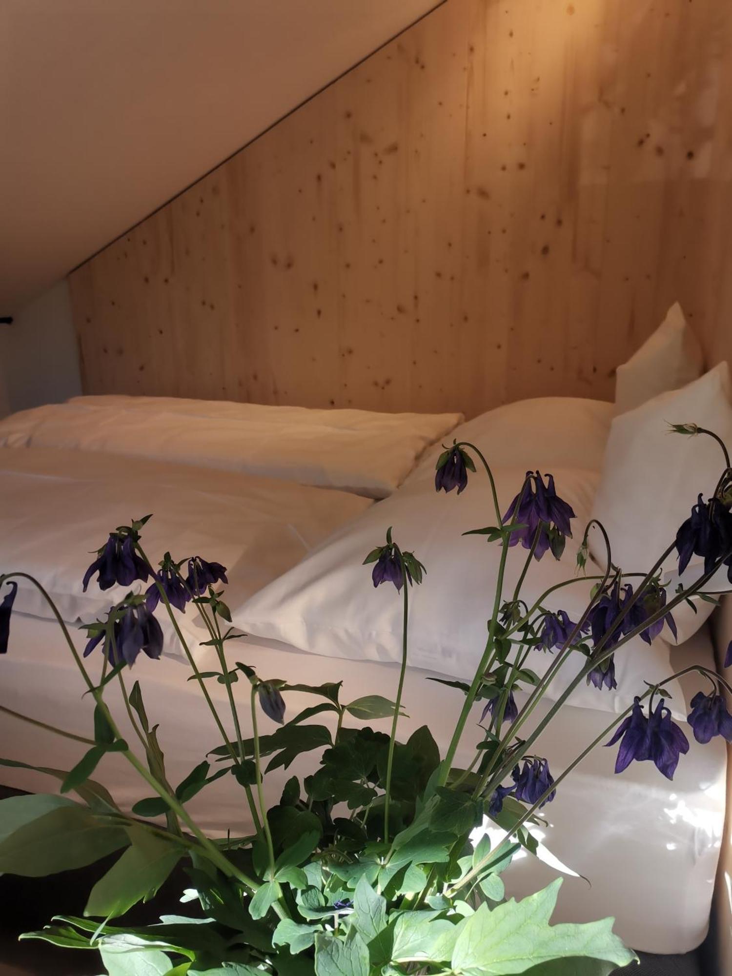 Ansitz Grustdorf Apartamento Appiano Sulla Strada Del Vino Exterior foto